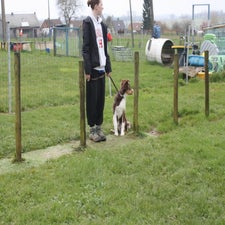 img_0039-standard.jpg