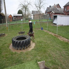 img_0041-standard.jpg