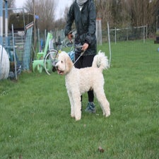 img_0047-standard.jpg