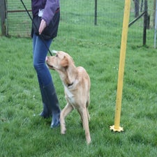 img_0056-standard.jpg