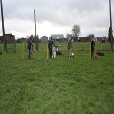 img_0057-standard.jpg