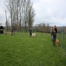 img_0062-standard.jpg