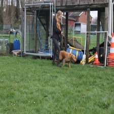 img_0065-standard.jpg