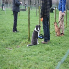 img_0077-standard.jpg