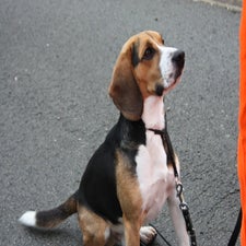img_0081-standard.jpg