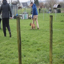 img_0082-standard.jpg