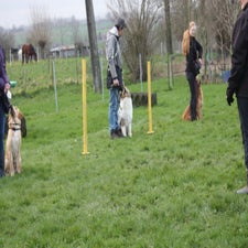 img_0099-standard.jpg