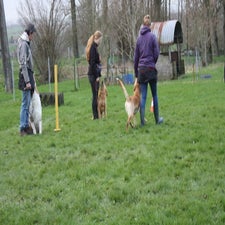 img_0102-standard.jpg