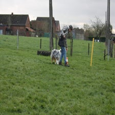 img_0128-standard.jpg