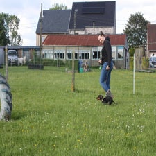 img_0130-standard-2949b8.jpg