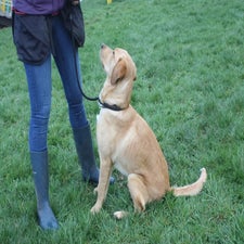 img_0130-standard.jpg