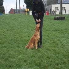 img_0132-standard.jpg