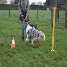 img_0133-standard.jpg
