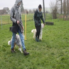 img_0142-standard.jpg