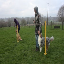 img_0146-standard.jpg
