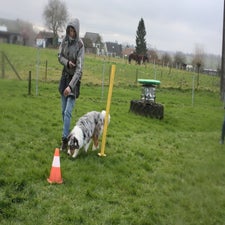 img_0159-standard.jpg