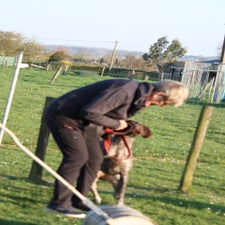 img_0162-standard.jpg
