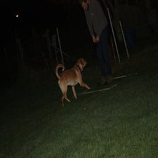 img_0398-standard-c872e9.jpg