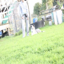 img_0501-standard.jpg