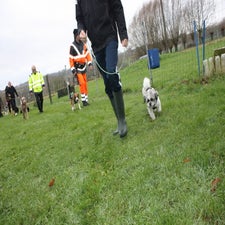 img_0503-standard.jpg