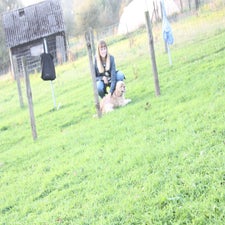 img_0505-standard.jpg
