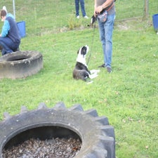 img_0519-standard.jpg