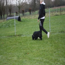 img_0520-standard.jpg