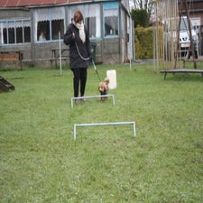 img_0541-standard.jpg