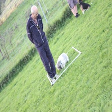 img_0574-standard.jpg