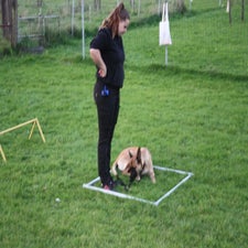 img_0583-standard.jpg