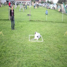 img_0588-standard.jpg