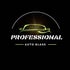 Profesional auto glass