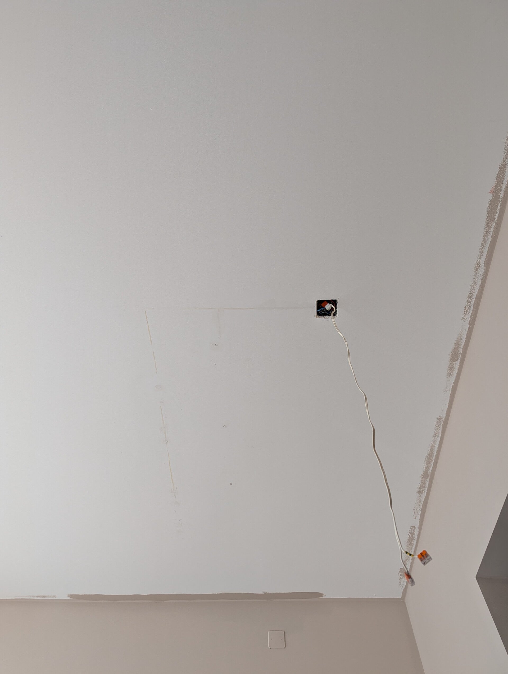 pxl_20260813_071840093-mp-standard.jpg