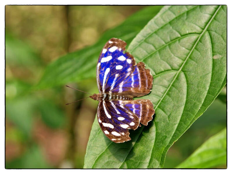 Sven Fauth - Fotografie - Costa Rica