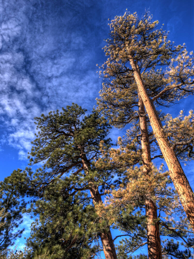 Sven Fauth - Fotografie - Nevada, Las Vegas