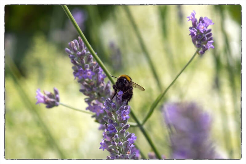 26-07-19_02175_b2-standard.jpg