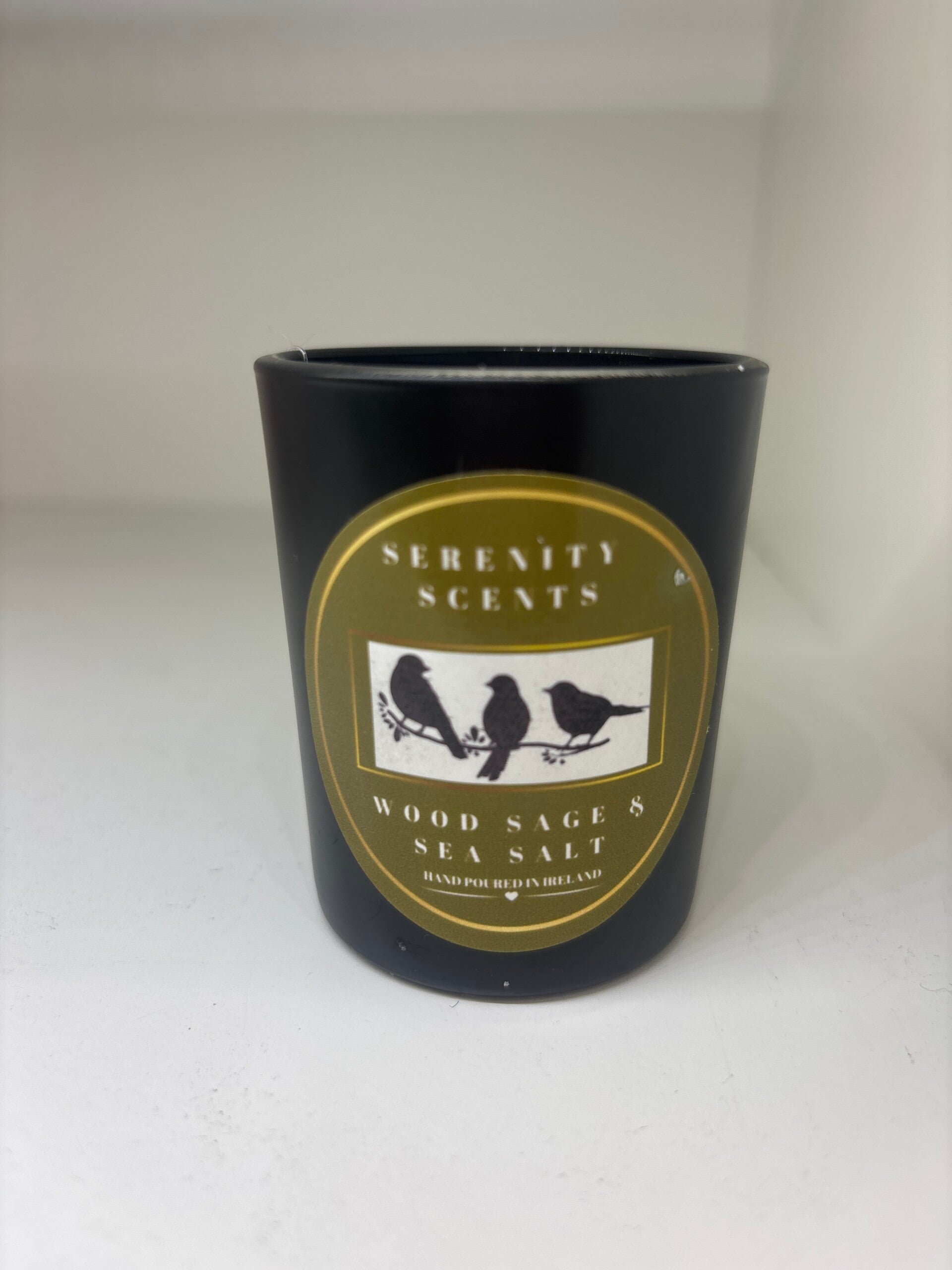 Wood Sage & Sea Salt  Travel Scented Candle