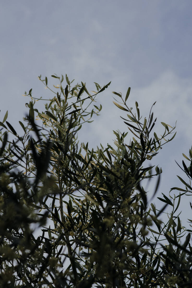 kroatien_2026_75-standard.jpg