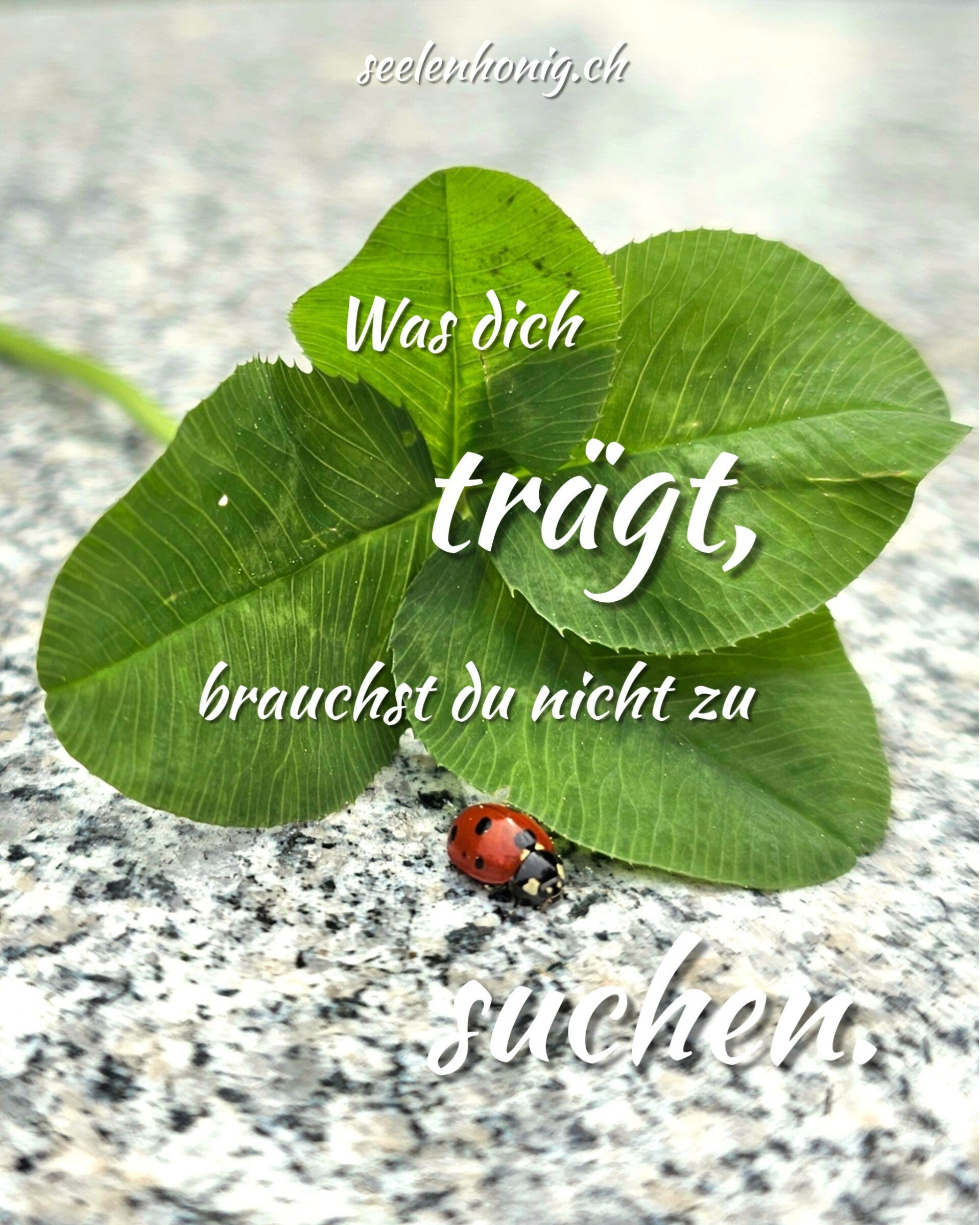 Marienkäfer unter einem grünen Kleeblatt auf hellem Steinboden, Symbol für innere Stärke, Selbstverbundenheit und natürlichen Halt. Ruhiges Naturmotiv mit Fokus auf Achtsamkeit, Unabhängigkeit und innere Verankerung.