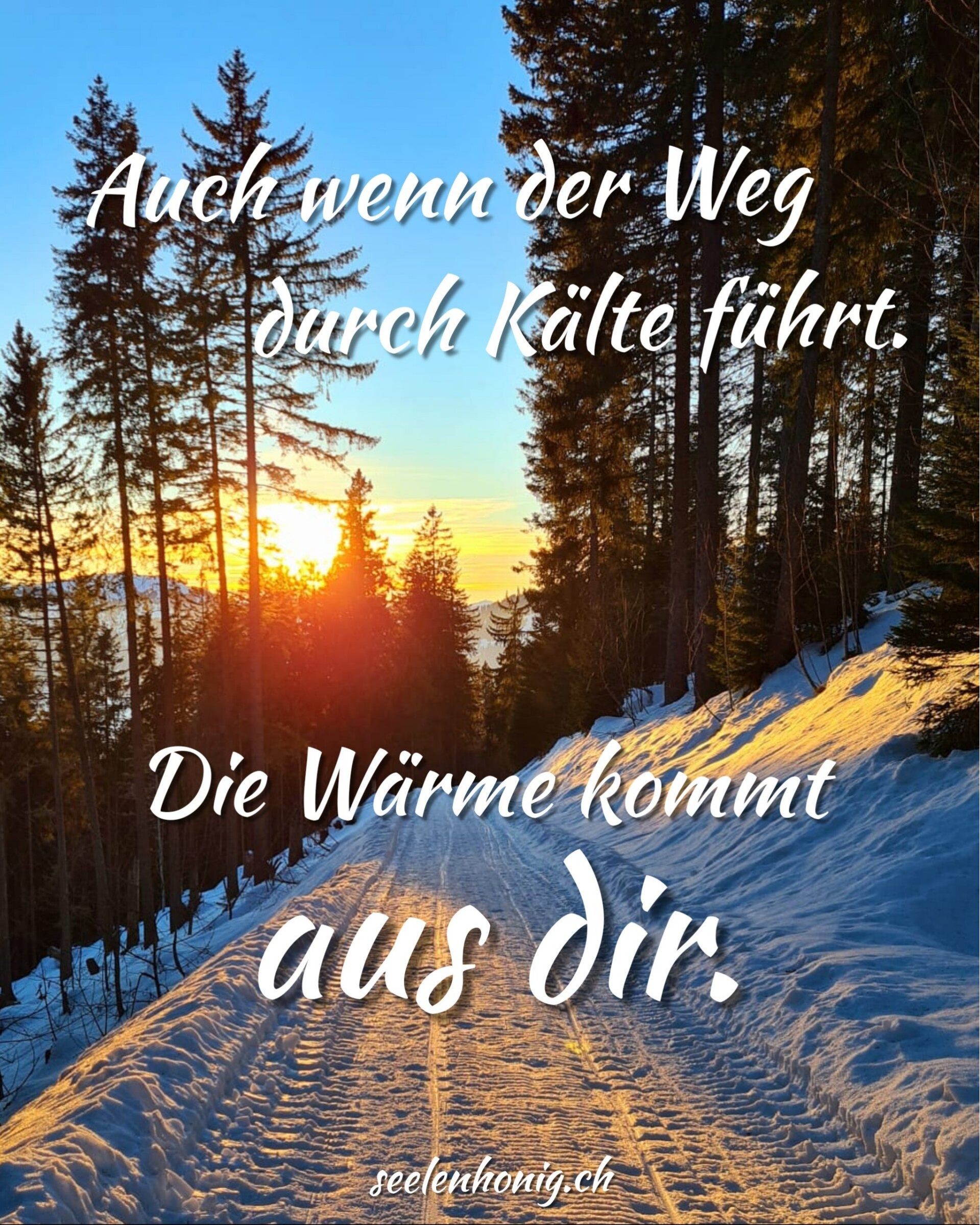 Ein winterlicher Weg im Wald, durch den goldenes Licht fällt – Sinnbild für den eigenen Weg und inneres Feuer.