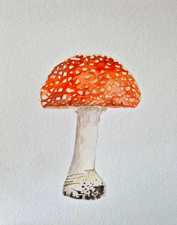 Paddenstoel rood met witte stippen