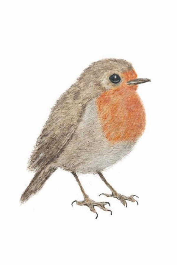 A4 of a5 print van roodborstje