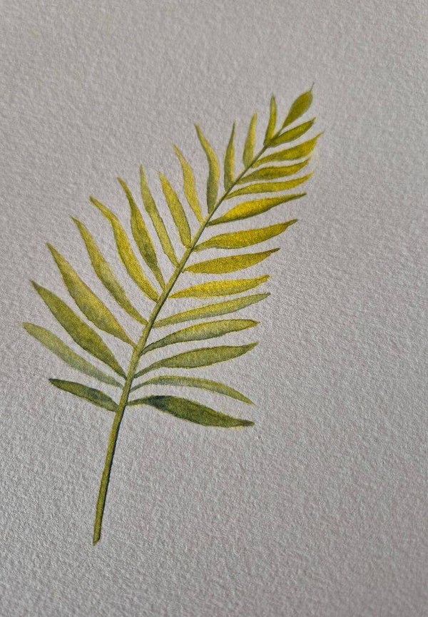 Palmtak; 3 soorten kaarten