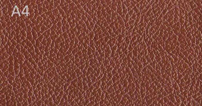 furniture_leather_madras_antic_a4.jpg