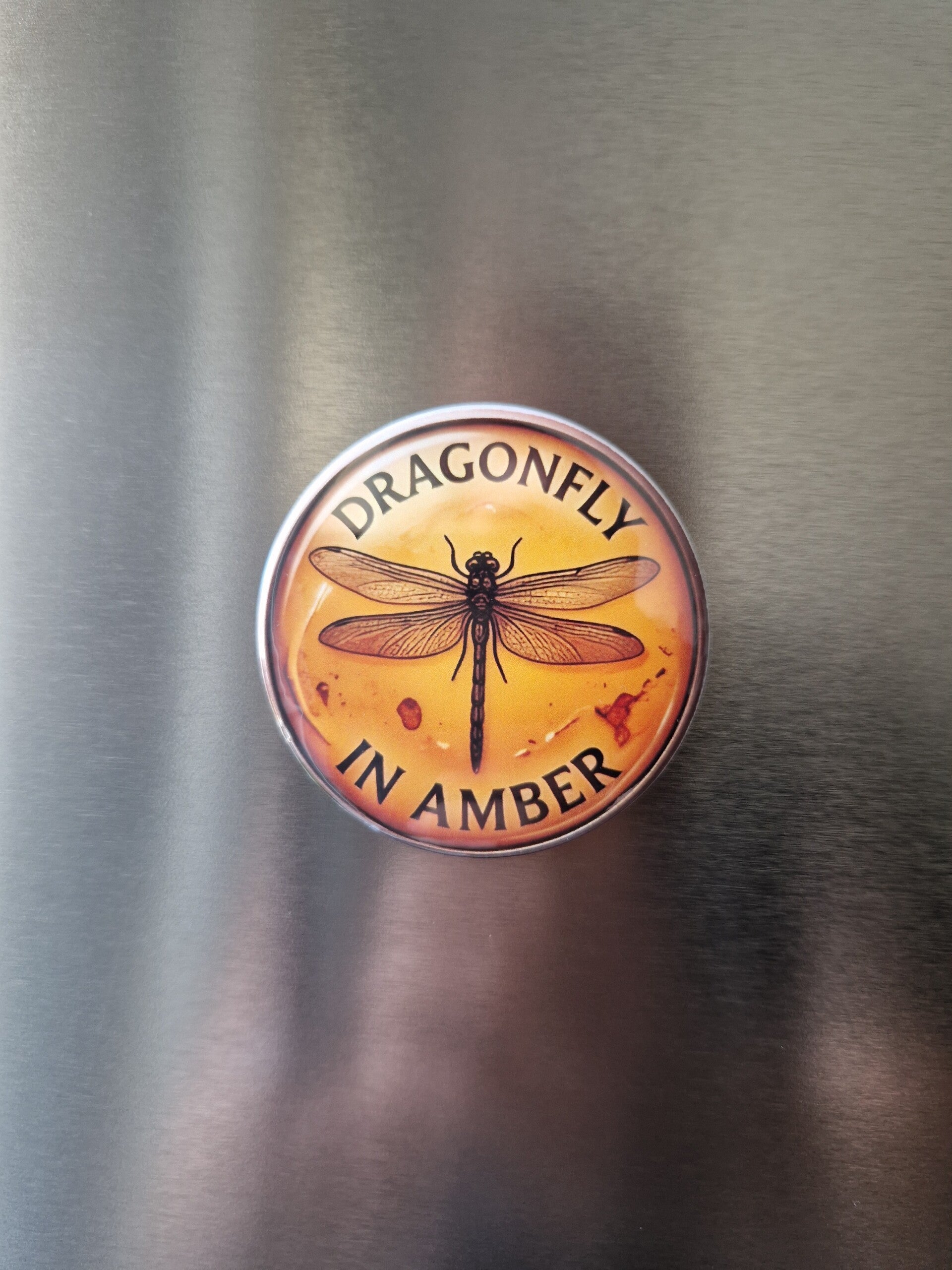 Aimant dragonfly,