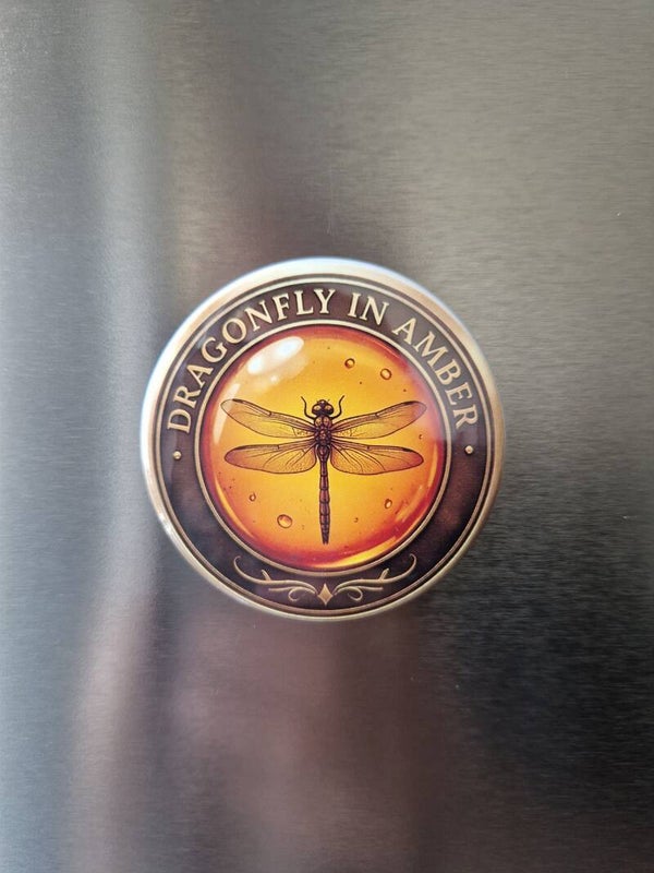 Aimant dragonfly in amber,