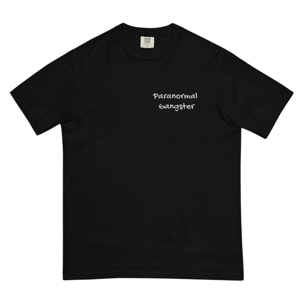 Paranormal Gangster