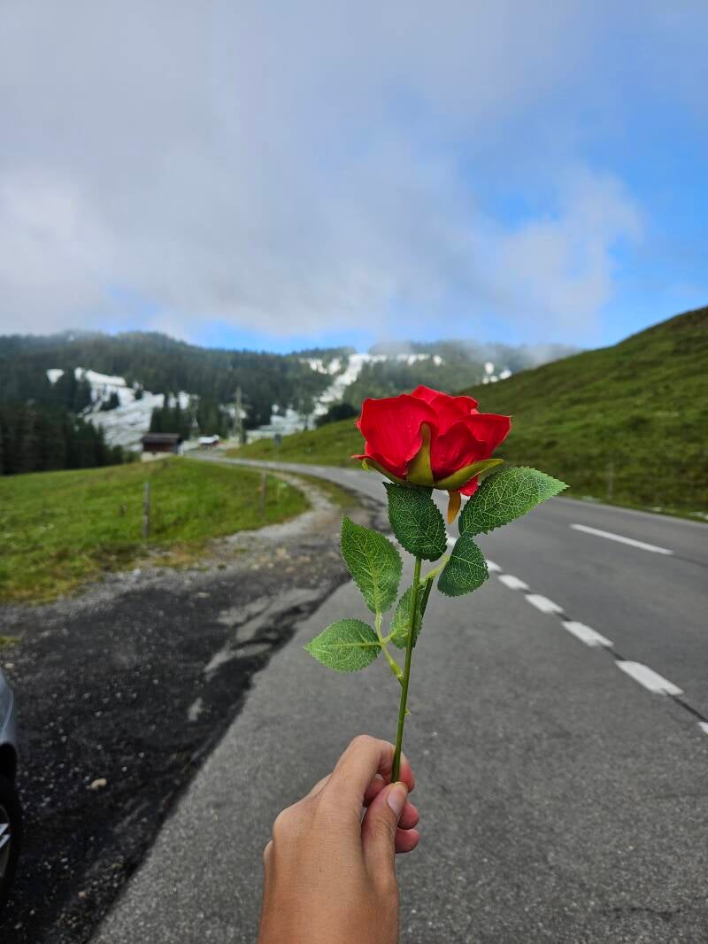 TTNW Beerdigung Glaibi Nord 2024