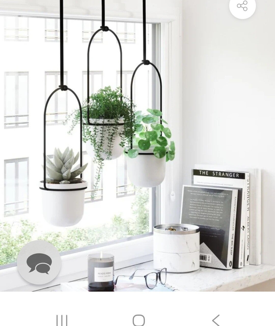 Umbra Triflora Hanging Planter White/Black - Indoor Window Garden