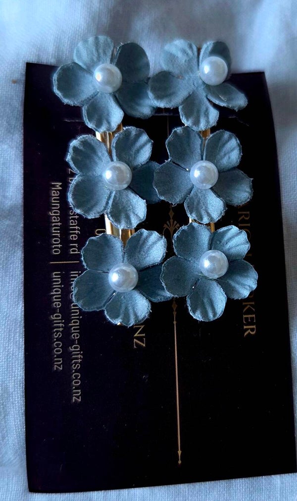 Decorative clips